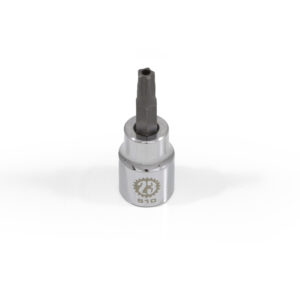 AVCS Security Socket #510