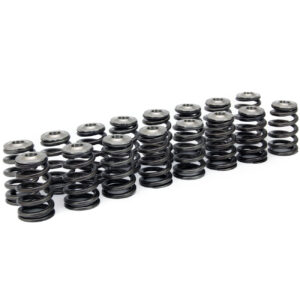 Fuji Beehive Valve Spring & Titanium Retainer Kit