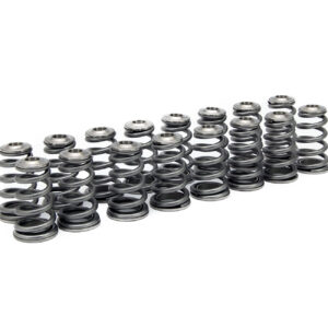 Fuji Supreme Valve Spring & Titanium Retainer Kit
