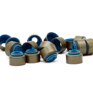 Fuji Viton Valve Stem Oil Seals